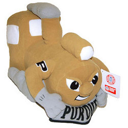 purduemascot.jpg